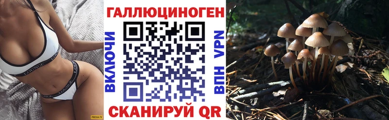 ОМГ ОМГ зеркало  где продают   Верхняя Тура  Галлюциногенные грибы Psilocybine cubensis 